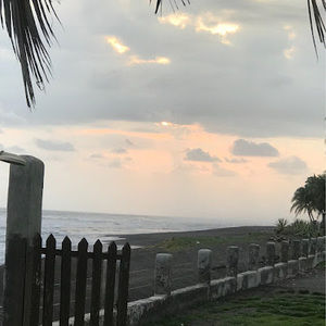 Meet your Posher, Luisa